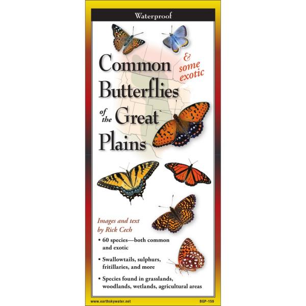 Sibley's Common Butterflies of Great Plains Folding Guide