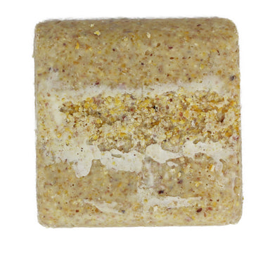 Woodpecker Blend Suet Plus
