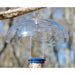 Aspects Weather Dome Clear