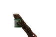 Log Without Perches
