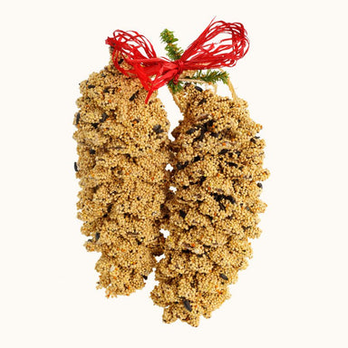 Pine Cone Pair, natural cones coated with seed