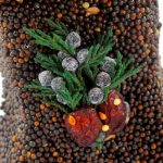 Mr Bird - Christmas Shape Seed Ornaments - Assorted