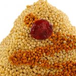 Mr Bird - Christmas Shape Seed Ornaments - Assorted