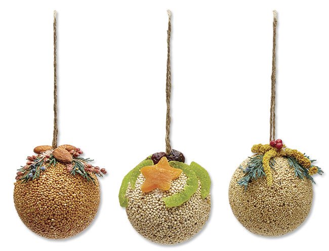 Fruit Ornament seed balls, assorted styles