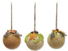 Fruit Ornament seed balls, assorted styles