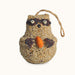 Woodland Friends Raccoon seed ornament, front view