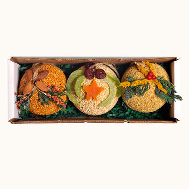 Fruit Ornament Trio seed balls, display pack