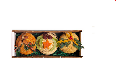 Mr Bird - Fruit Ornament Trio