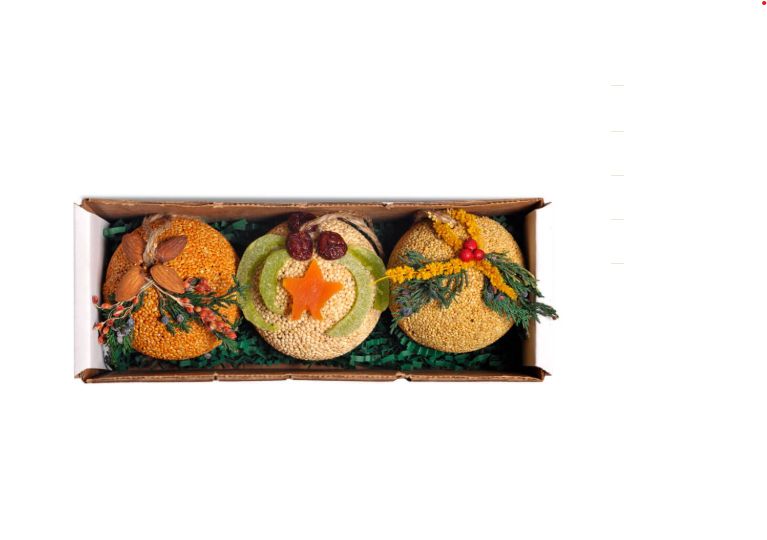 Mr Bird - Fruit Ornament Trio
