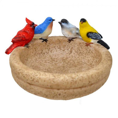 Backyard Birds Sitting Bath and Feeder