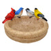 Backyard Birds Sitting Bath and Feeder