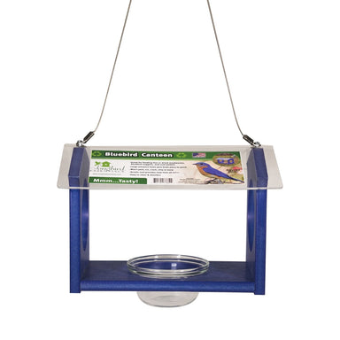 Bluebird Canteen Feeder