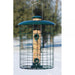 Caged 6 Port Seed Feeder