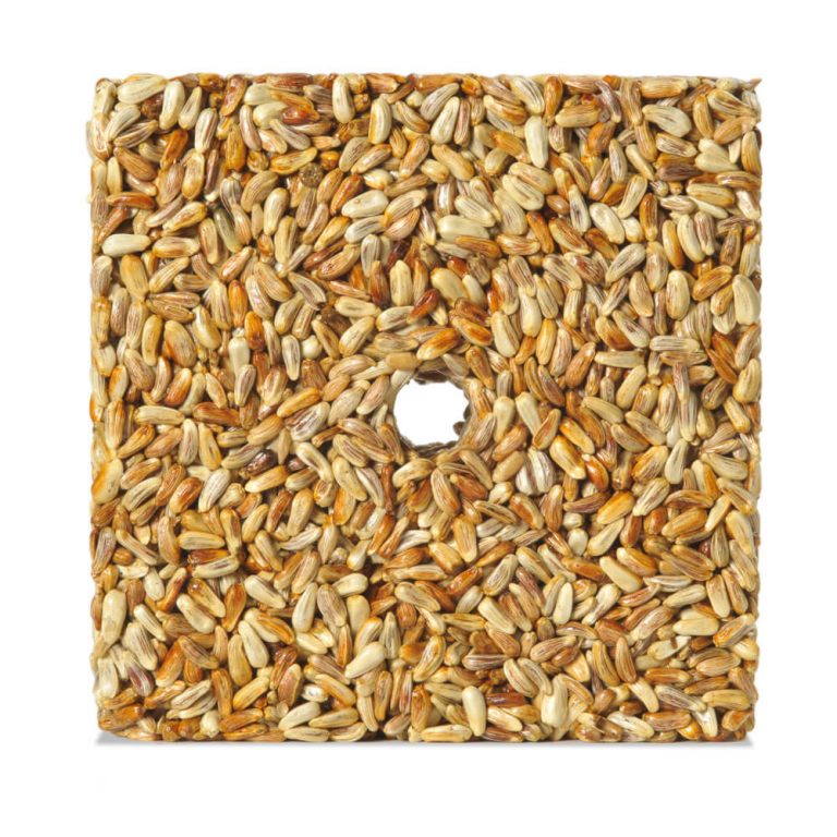 Golden Safflower Seed Cakes - Small Cake