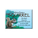 Advice for Life Jumbo Magnet - Squirrel