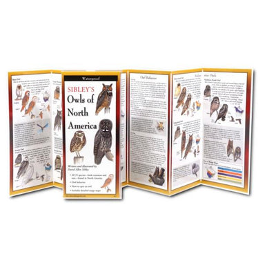 Sibley's Owls of North America Folding Guide