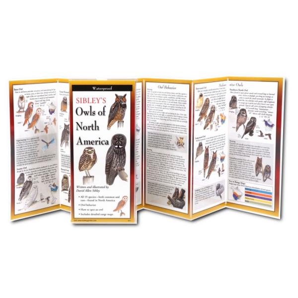 Sibley's Owls of North America Folding Guide