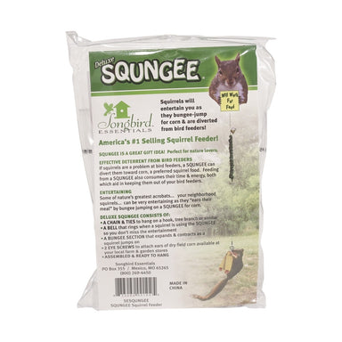 Squirrel Bungee