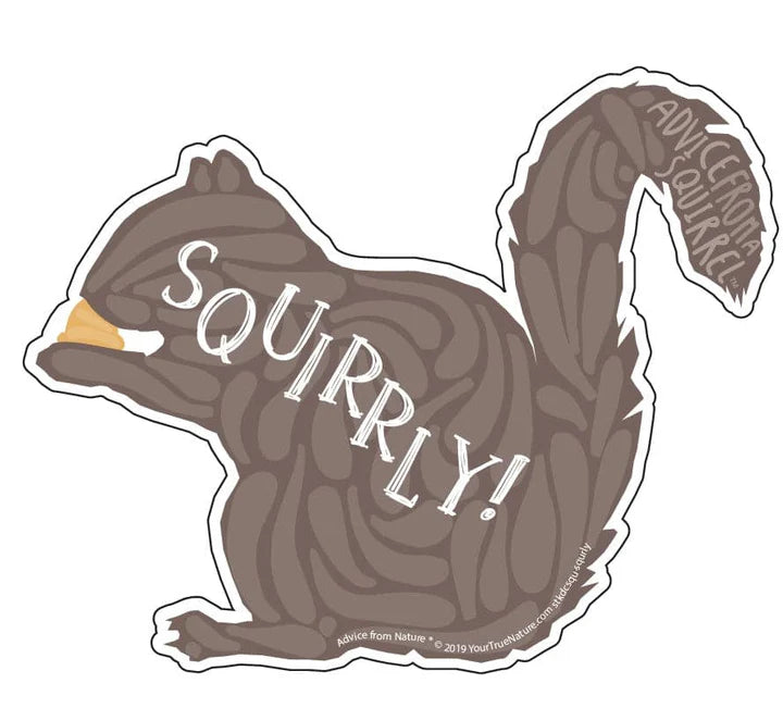 Advice for Life Die Cut Sticker - Squirrly