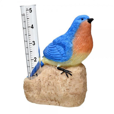 Bluebird Rain Gauge 1