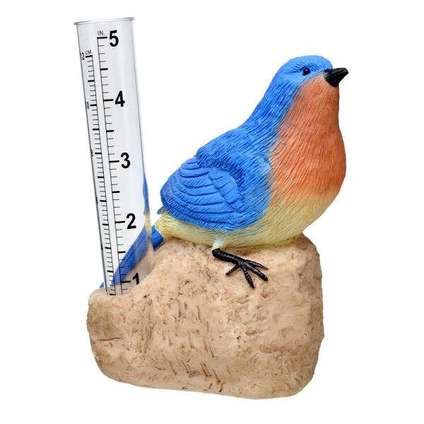 Bluebird Rain Gauge 1