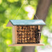 Seed Cake and Suet Block Feeder