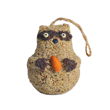 Mr Bird Woodland Raccoon