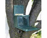 Recycled Plastic Squirrels Only Munch Box- Green