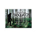 Advice for Life Jumbo Magnet - Sasquatch