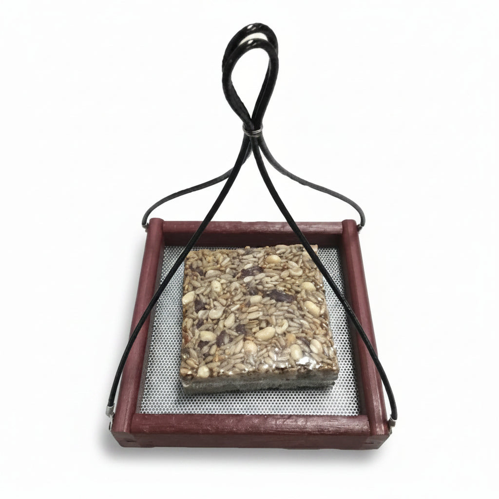 Hanging Tray Recycled Feeder 7x7 with a standard seed cake for size