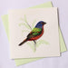 Quilled Card - Painted Bunting