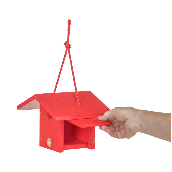 Wren House- Color Pop Collection* - Red