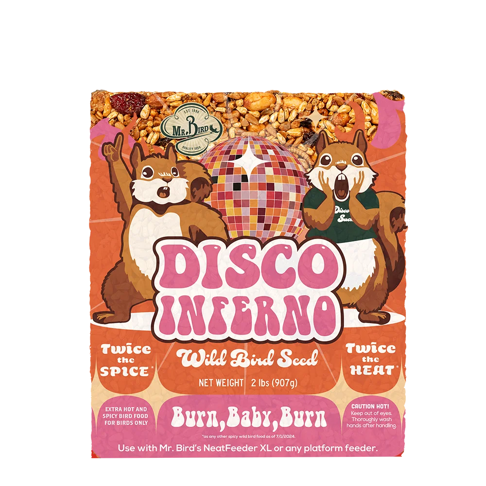 Disco Inferno Seed Cakes - Large Cake