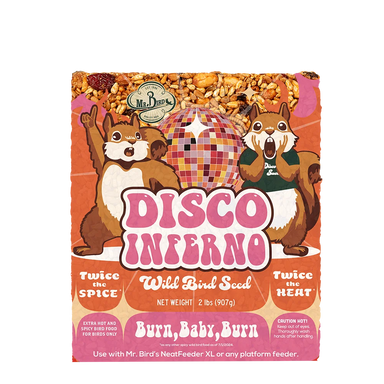 Disco Inferno Seed Cakes - Large Cake