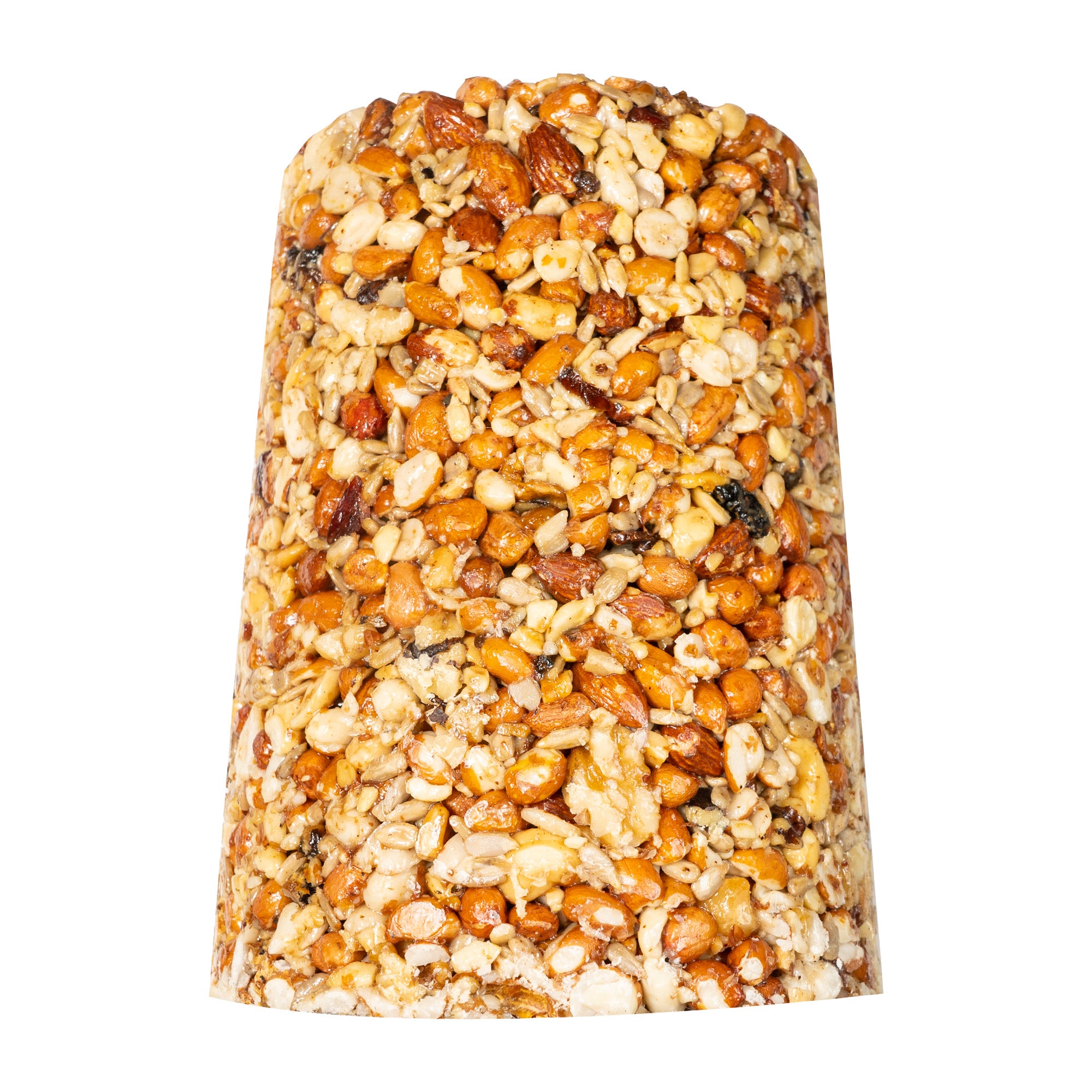 Bugs, Nuts & Fruit Seed Cakes - Large Cylinder