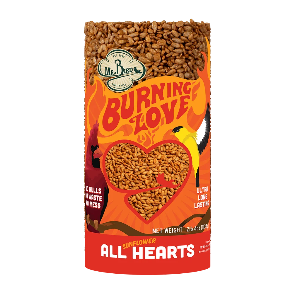 Burning Love Seed Cake - Small Cylinder