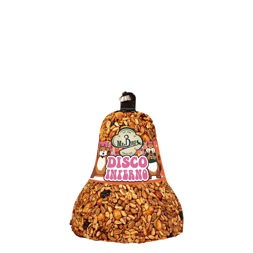 Disco Inferno Seed Cakes