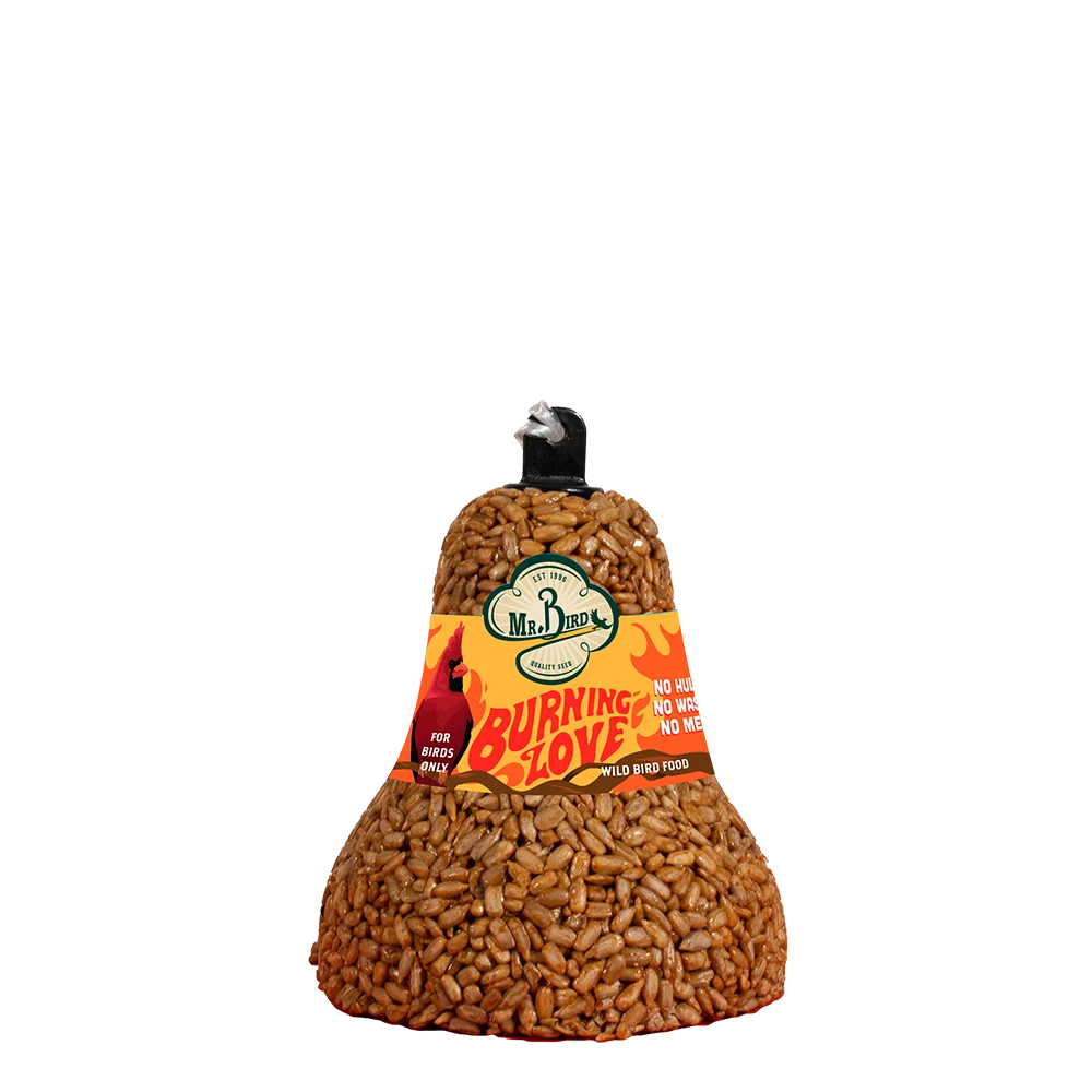 Burning Love Seed Cake