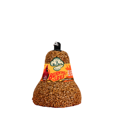 Burning Love Seed Cake
