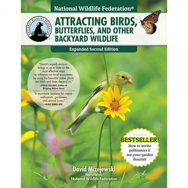 Attracting Birds, Butterflies, and Other Backyard Wildlife