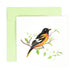Quilled Card - Baltimore Oriole