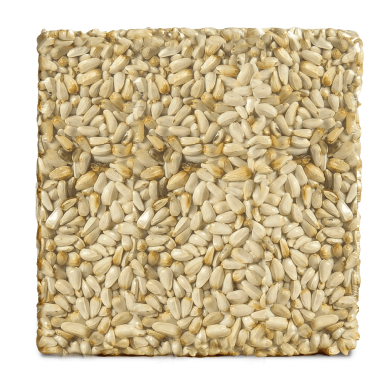 Safflower Seed Cakes - Small Cake