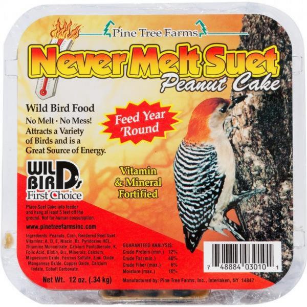 Never Melt Peanut Suet PTF3010