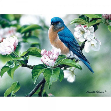Bluebird on Apple Blossoms 1000pc Puzzle
