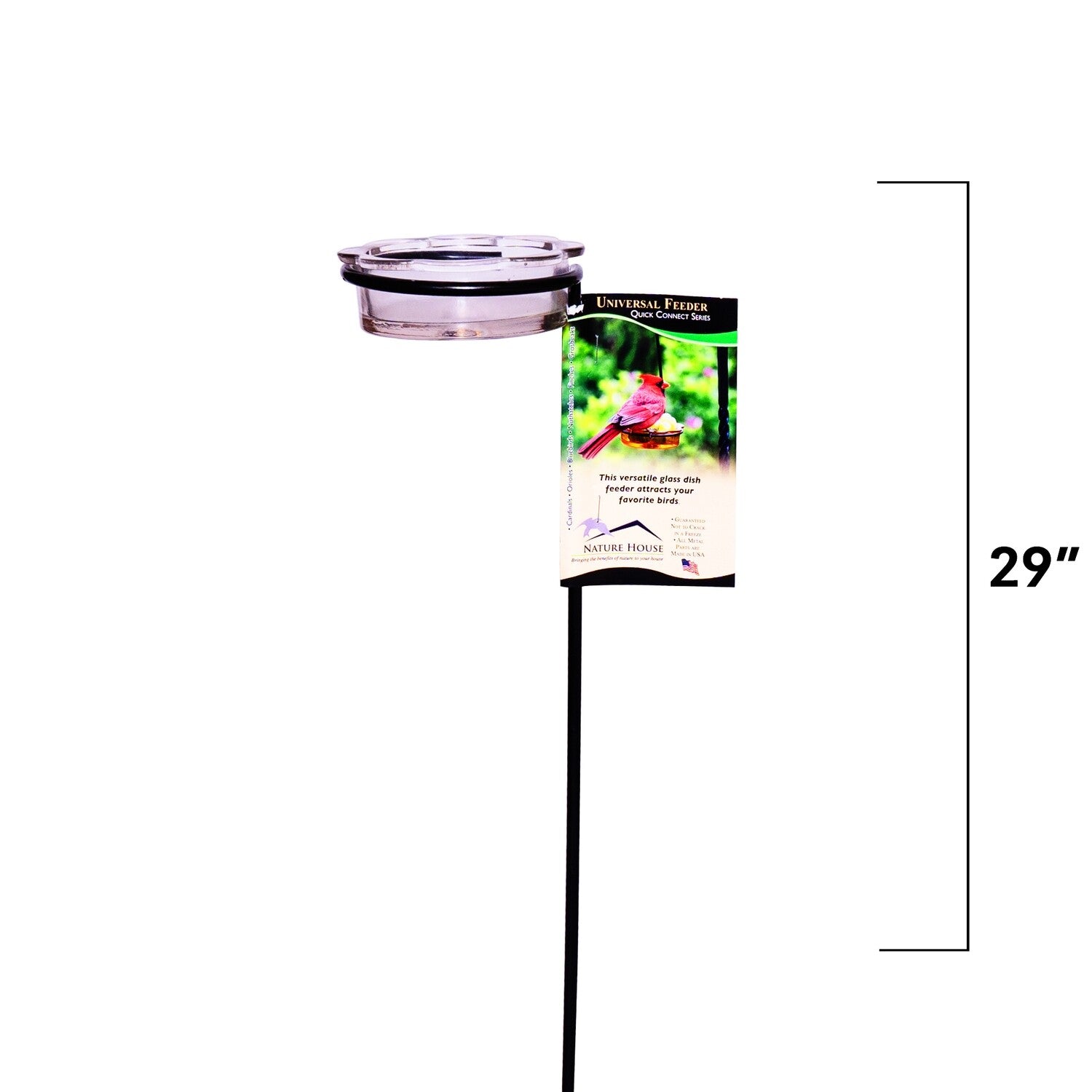 Erva Clear Glass Dish and Step In Pole