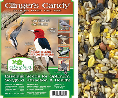 Clinger's Candy 5lb bag Seed