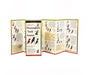 Sibley's Hummingbirds of North America Folding Guide