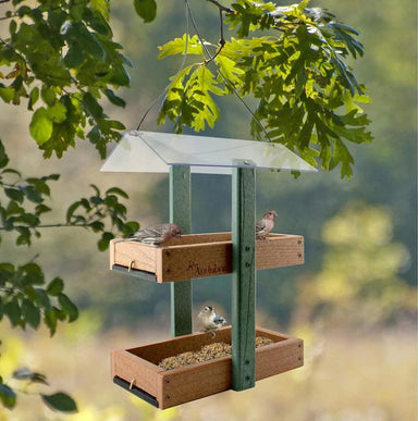 Going Green double platform bird feeder hanging in a tree with songbirds feeding on both trays