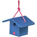 Wren House- Color Pop Collection* - Blue Fuchsia