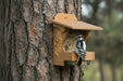 Woodpecker's Delight feeder visited by a downy woodpecker